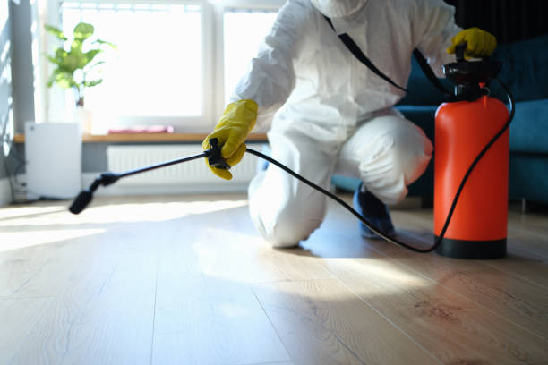 Reliable Unattended Death Cleanup contractor in Joshua Tree, CA by Crime Scene Cleaner Online